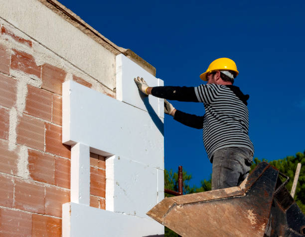 Best Insulation Maintenance and Repair in Steelevle, IL