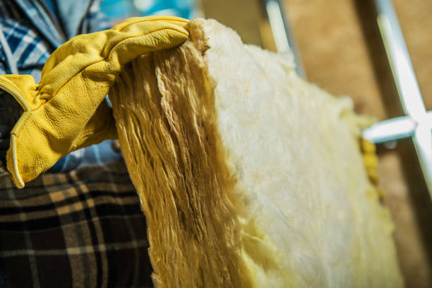 Best Insulation Maintenance and Repair in Steelevle, IL