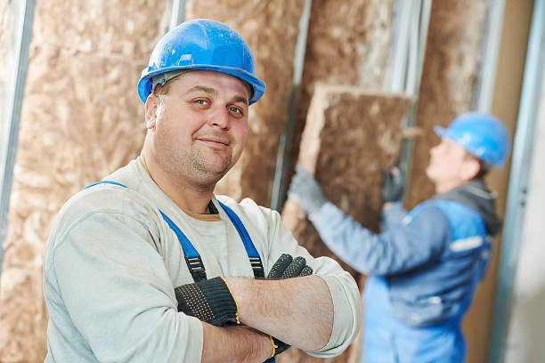 Best Types of Insulation in Steelevle, IL